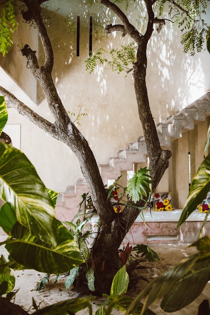 Offerings A serene indoor garden with a prominent tree and natural light filtering in.