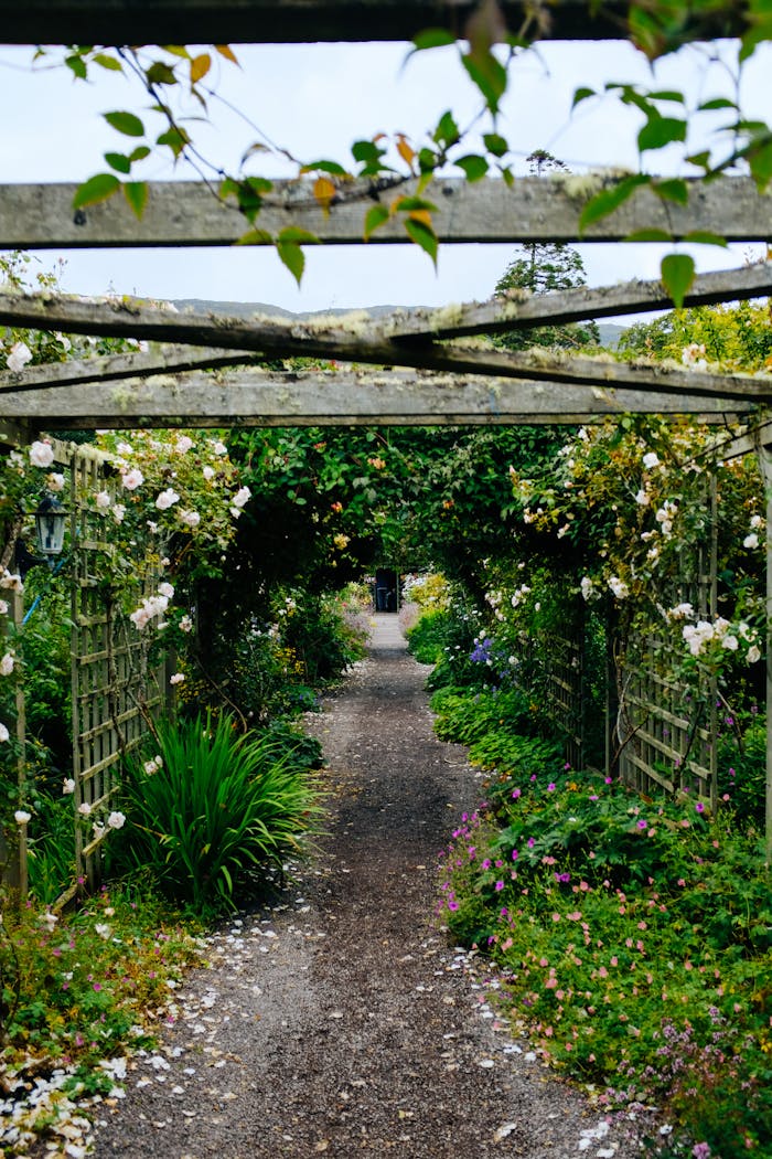 Offerings A tranquil garden pathway surrounded by vibrant flowers and greenery under a rustic arbor.