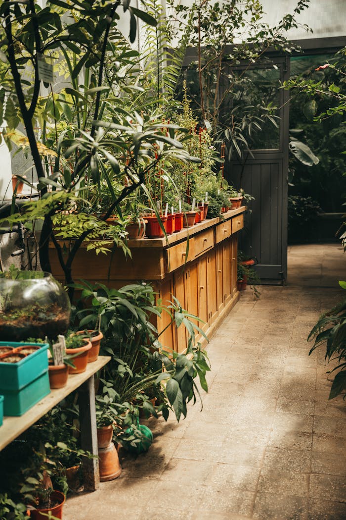 Home A vibrant greenhouse filled with diverse potted plants and lush greenery.